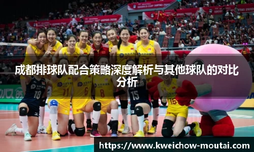 成都排球队配合策略深度解析与其他球队的对比分析